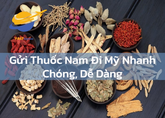 gui-thuoc-nam-di-my-1