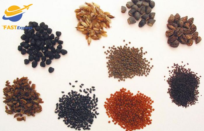 dieu-kien-gui-hat-giong-di-my