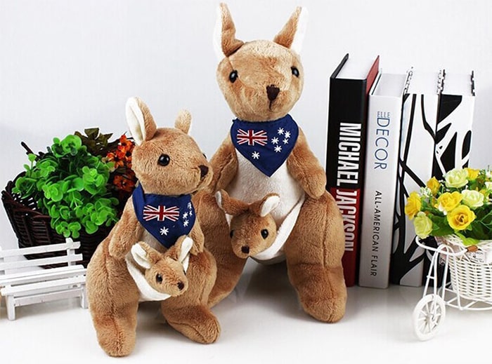 gau-bong-chuot-tui-kangaro