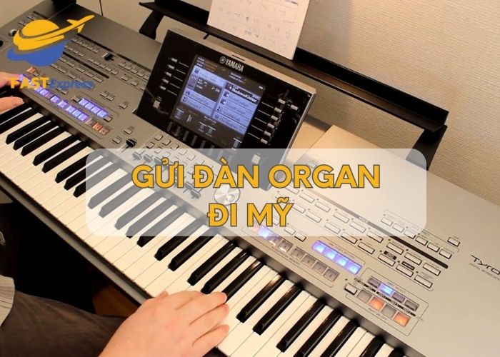 gui-dan-organ-di-my
