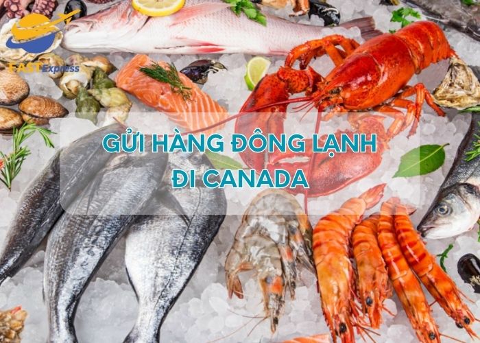 gui-hang-dong-lanh-di-canada