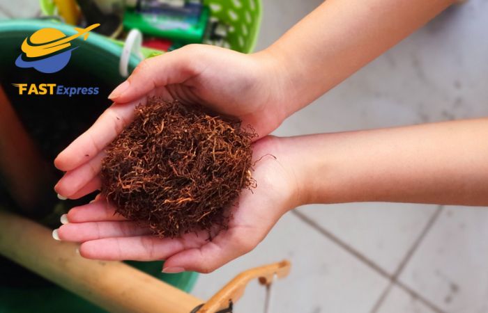 mang-thuoc-lao-sang-nhat-co-pham-phap