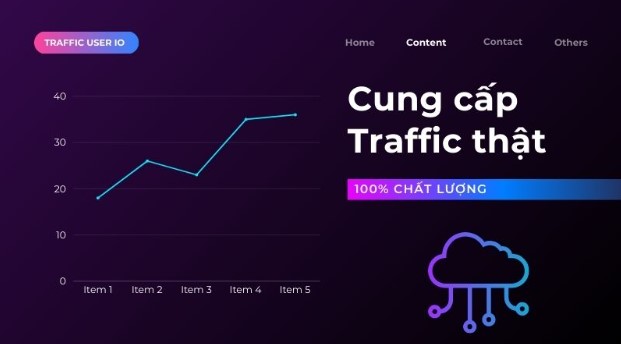 Traffic User IO - Đơn vị cung cấp nguồn traffic chất lượng